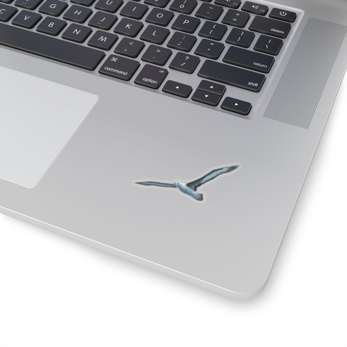 Blue Albatross Vinyl Decal, Watercolor Bird Sticker, Durable White Vinyl Art for Laptops, Cars, Windows, Removable and UV Resistant