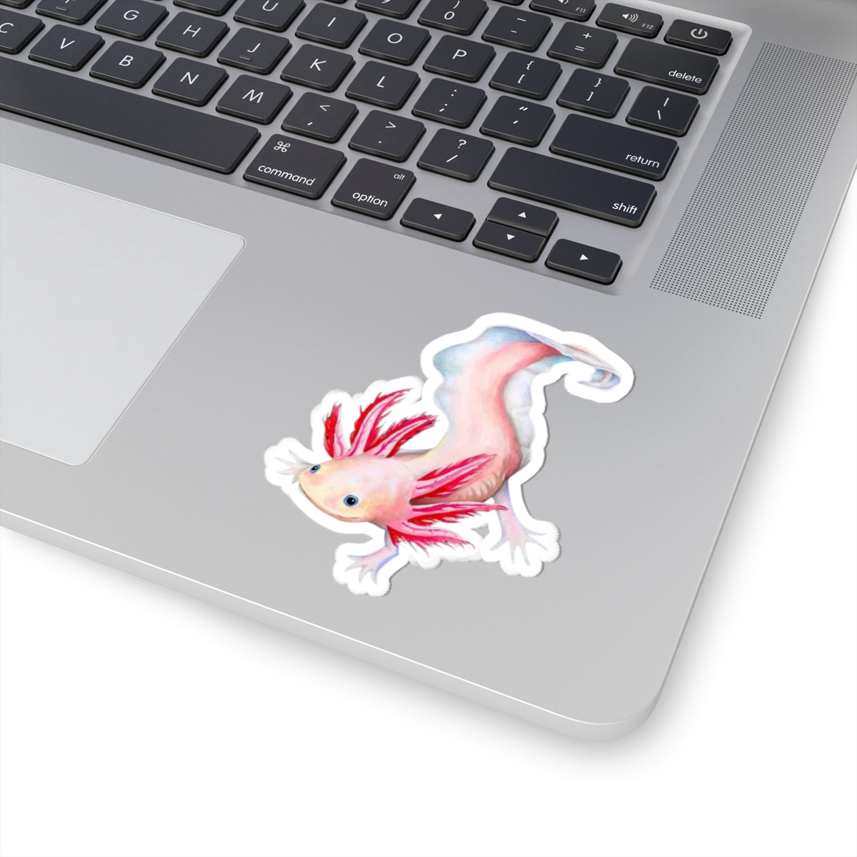 Axolotl Sticker, Laptop Decal, Water Bottle Sticker, Hand Drawn Design, Cute Beautiful Gift, Vinyl Sticker, Eco Friendly