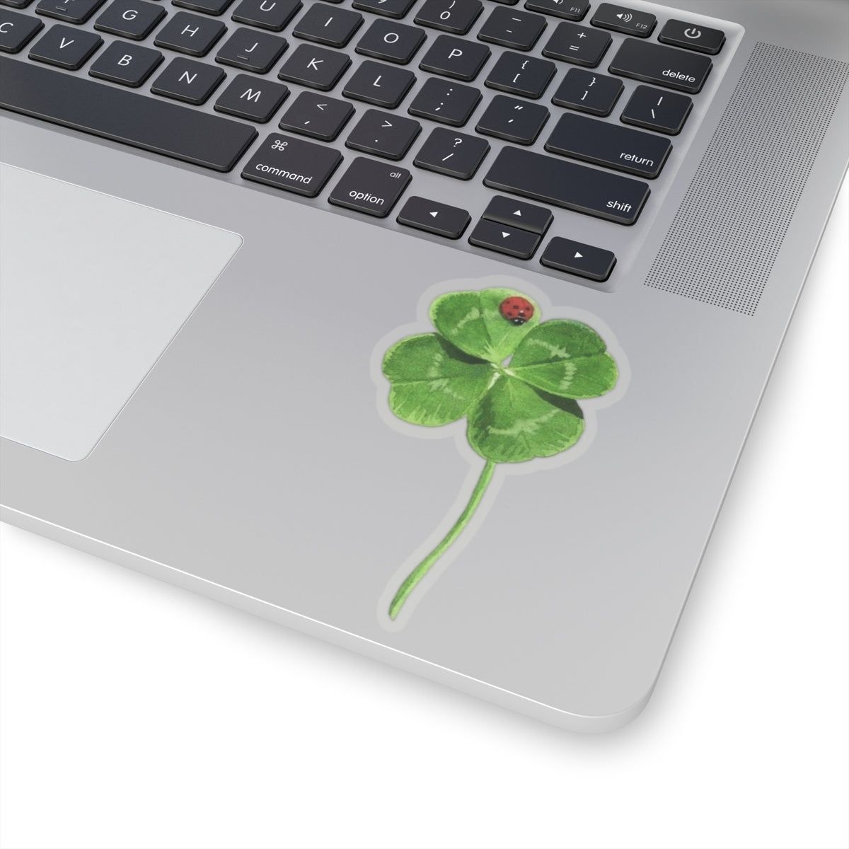 Lucky Clover Sticker, Good Luck Fortune Ladybug Decal, St Patrick Day Gift, Irish Theme, Holiday Decoration, Laptop Water Bottle Kindle