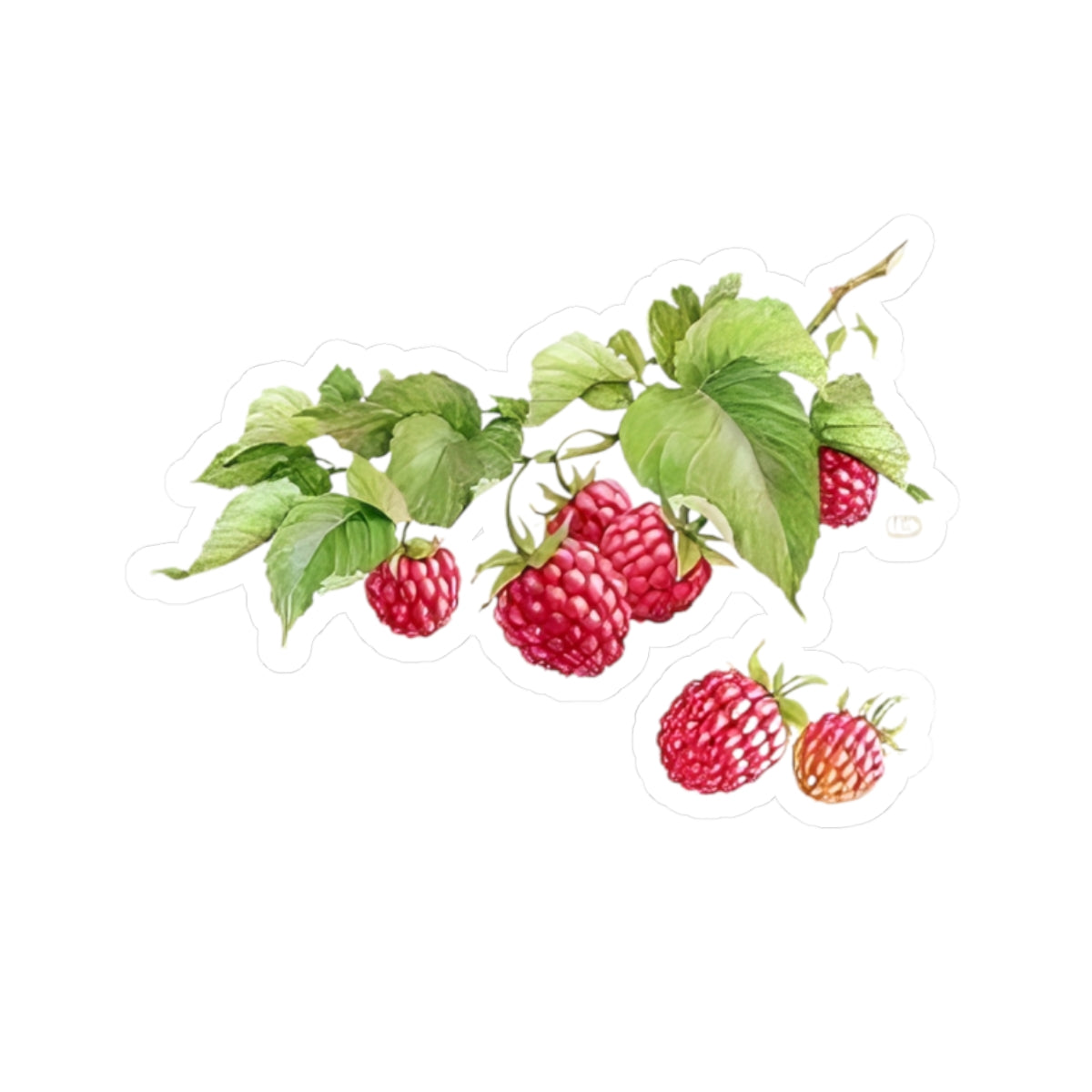 Natural Raspberry Kiss-Cut Sticker - Realistic Berry Design with Leaves, Perfect for Laptops, Journals, and Craft Projects