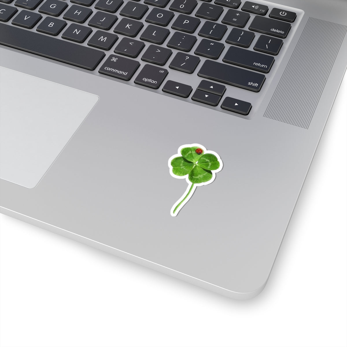 Lucky Clover Sticker, Good Luck Fortune Ladybug Decal, St Patrick Day Gift, Irish Theme, Holiday Decoration, Laptop Water Bottle Kindle