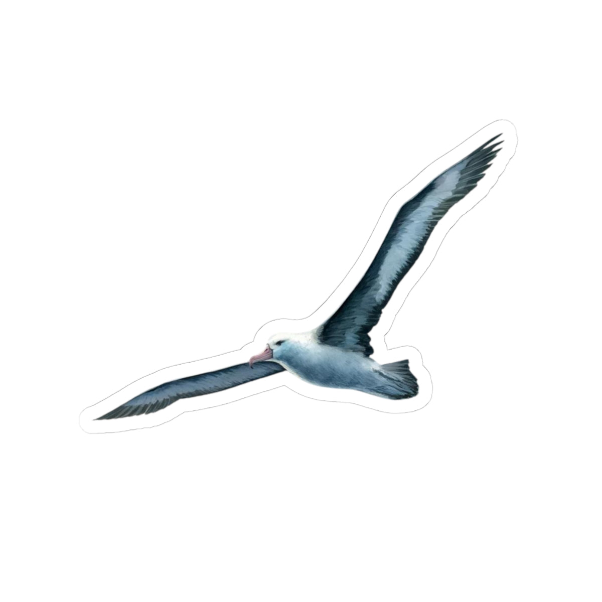 Blue Albatross Vinyl Decal, Watercolor Bird Sticker, Durable White Vinyl Art for Laptops, Cars, Windows, Removable and UV Resistant