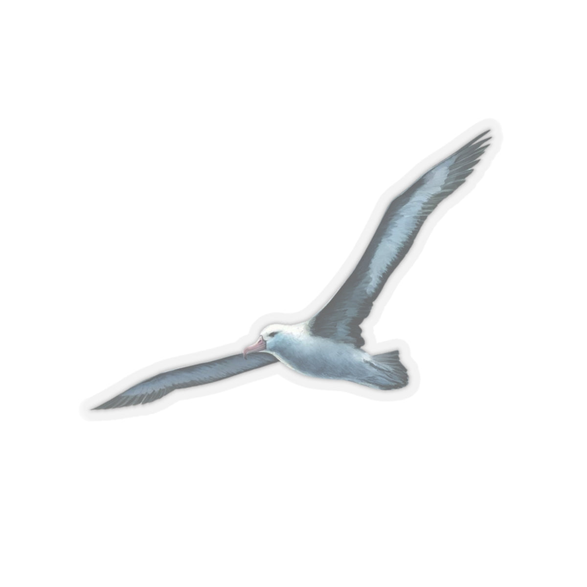 Blue Albatross Vinyl Decal, Watercolor Bird Sticker, Durable White Vinyl Art for Laptops, Cars, Windows, Removable and UV Resistant