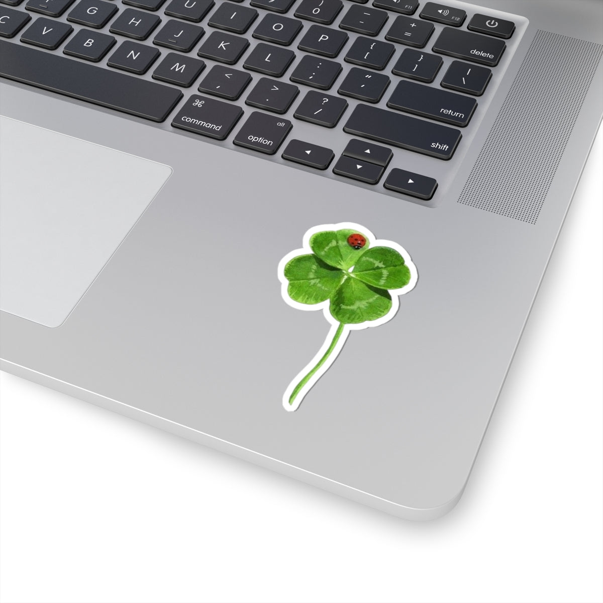 Lucky Clover Sticker, Good Luck Fortune Ladybug Decal, St Patrick Day Gift, Irish Theme, Holiday Decoration, Laptop Water Bottle Kindle