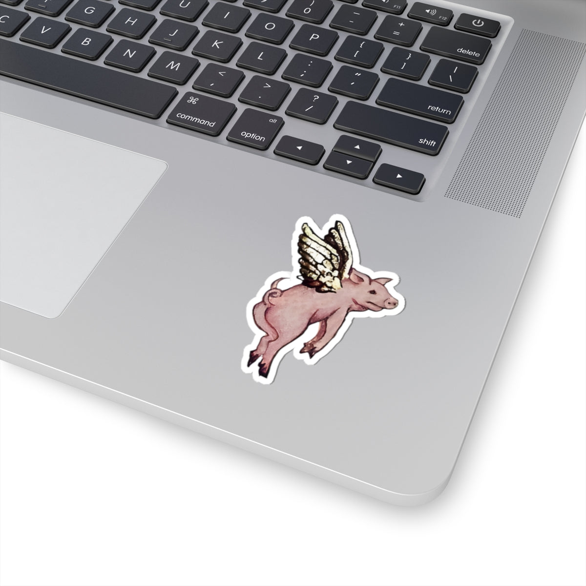 Medieval Pig Sticker, Mystical Art Decal for Laptop, Water Bottle, Unique Gift, Cool Adhesive