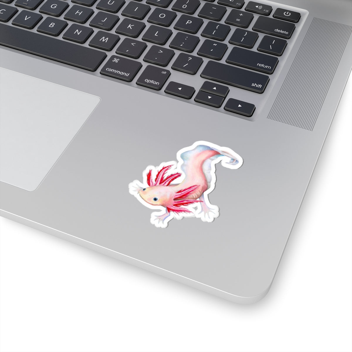 Axolotl Sticker, Laptop Decal, Water Bottle Sticker, Hand Drawn Design, Cute Beautiful Gift, Vinyl Sticker, Eco Friendly