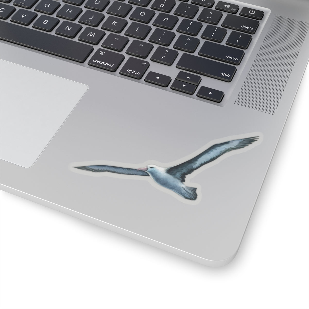 Blue Albatross Vinyl Decal, Watercolor Bird Sticker, Durable White Vinyl Art for Laptops, Cars, Windows, Removable and UV Resistant