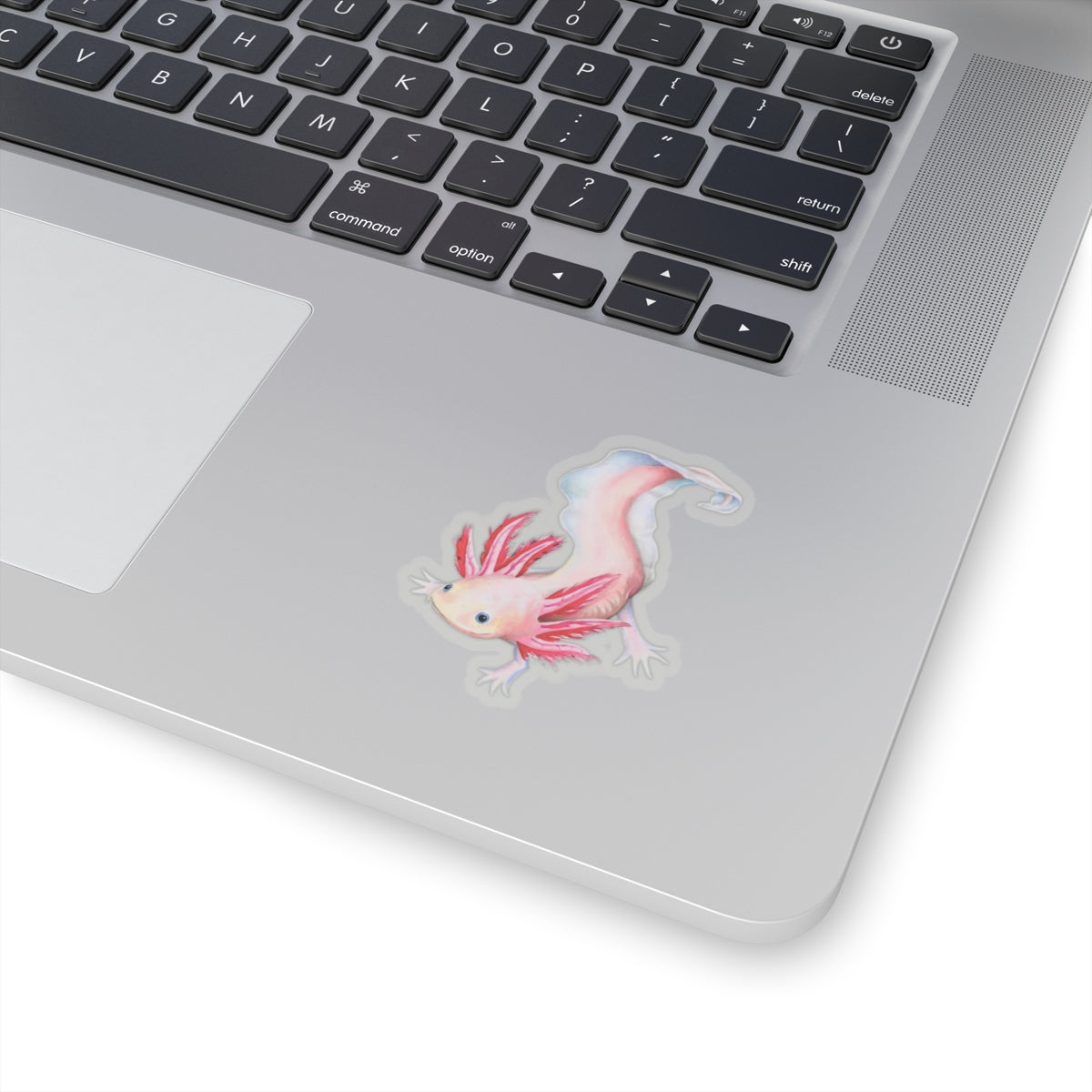 Axolotl Sticker, Laptop Decal, Water Bottle Sticker, Hand Drawn Design, Cute Beautiful Gift, Vinyl Sticker, Eco Friendly