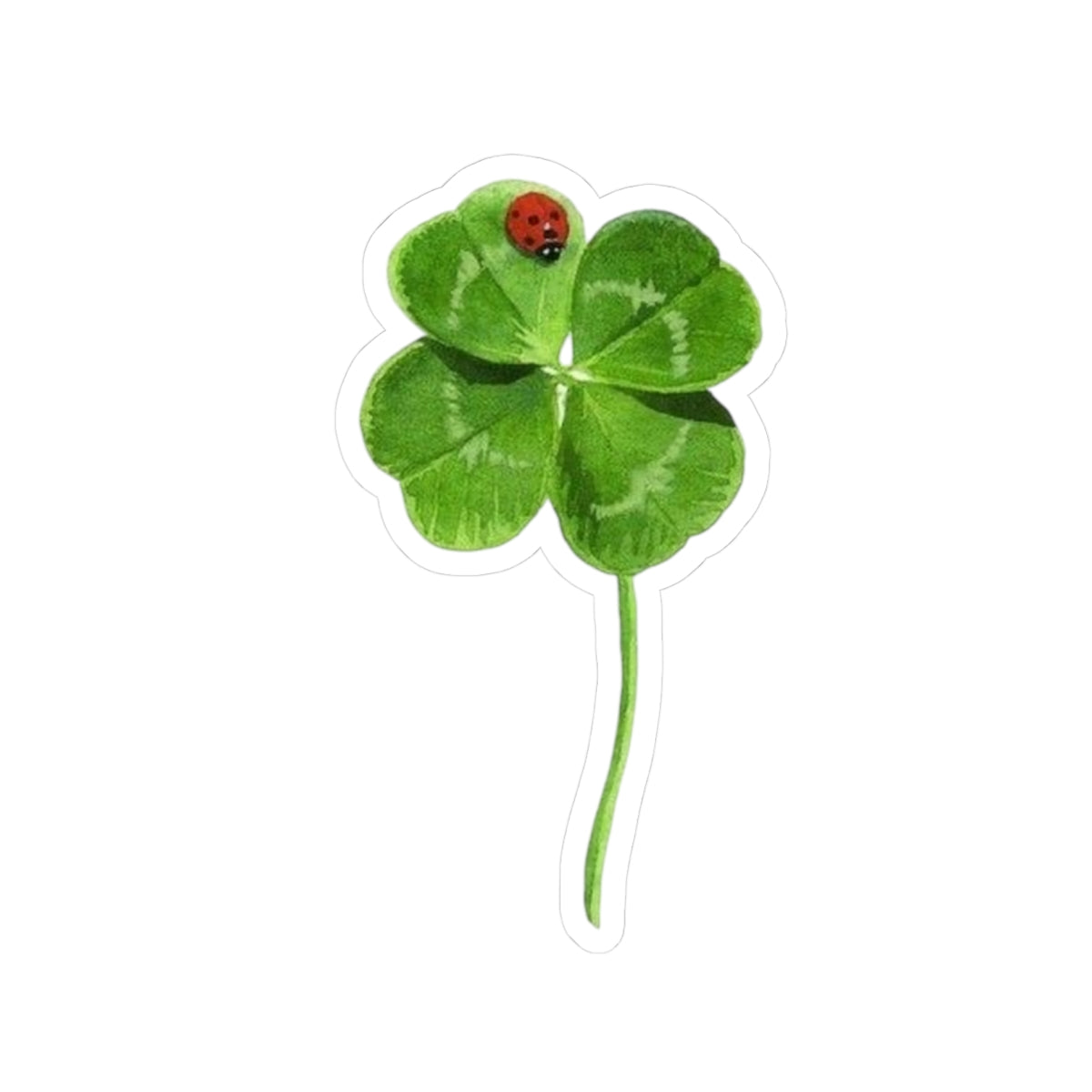 Lucky Clover Sticker, Good Luck Fortune Ladybug Decal, St Patrick Day Gift, Irish Theme, Holiday Decoration, Laptop Water Bottle Kindle