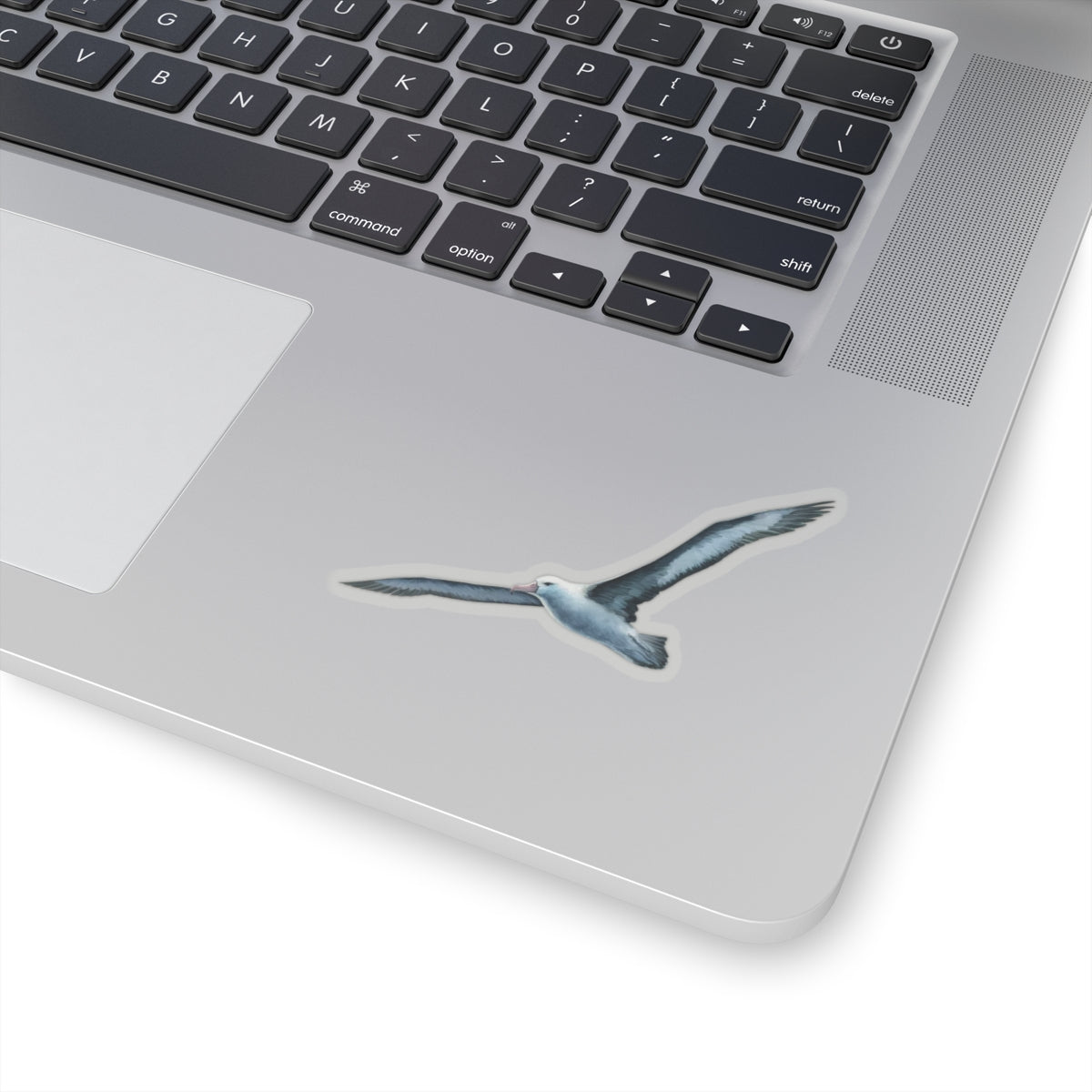 Blue Albatross Vinyl Decal, Watercolor Bird Sticker, Durable White Vinyl Art for Laptops, Cars, Windows, Removable and UV Resistant