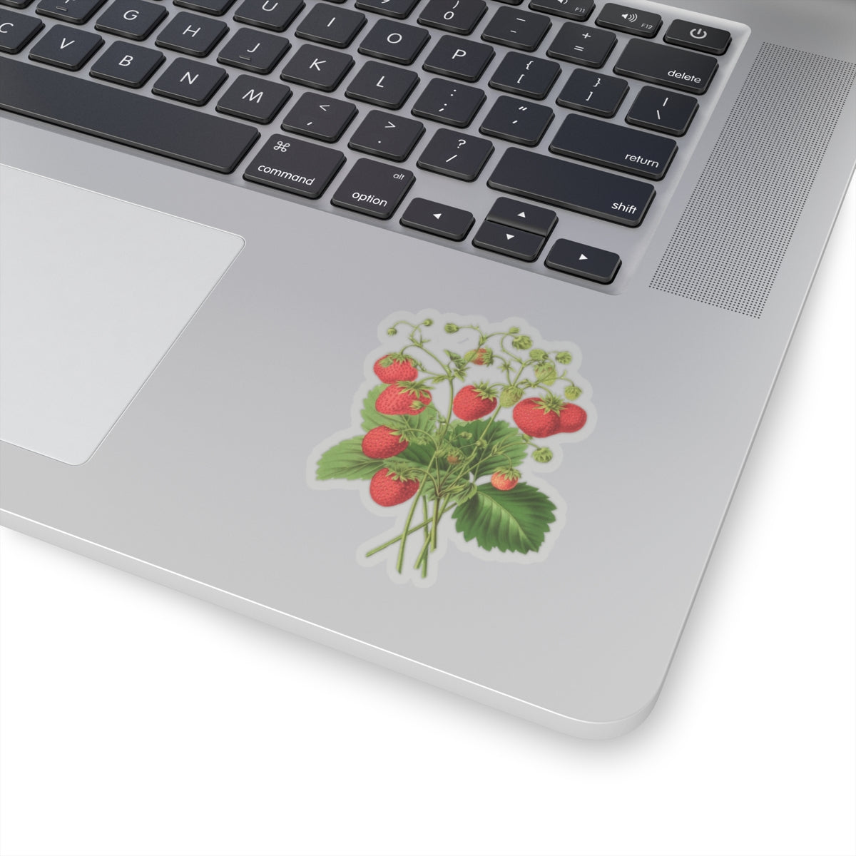 Strawberries Sticker with Leaves, Water Bottle Label, Summer Decal