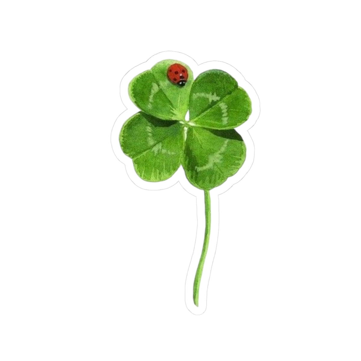 Lucky Clover Sticker, Good Luck Fortune Ladybug Decal, St Patrick Day Gift, Irish Theme, Holiday Decoration, Laptop Water Bottle Kindle