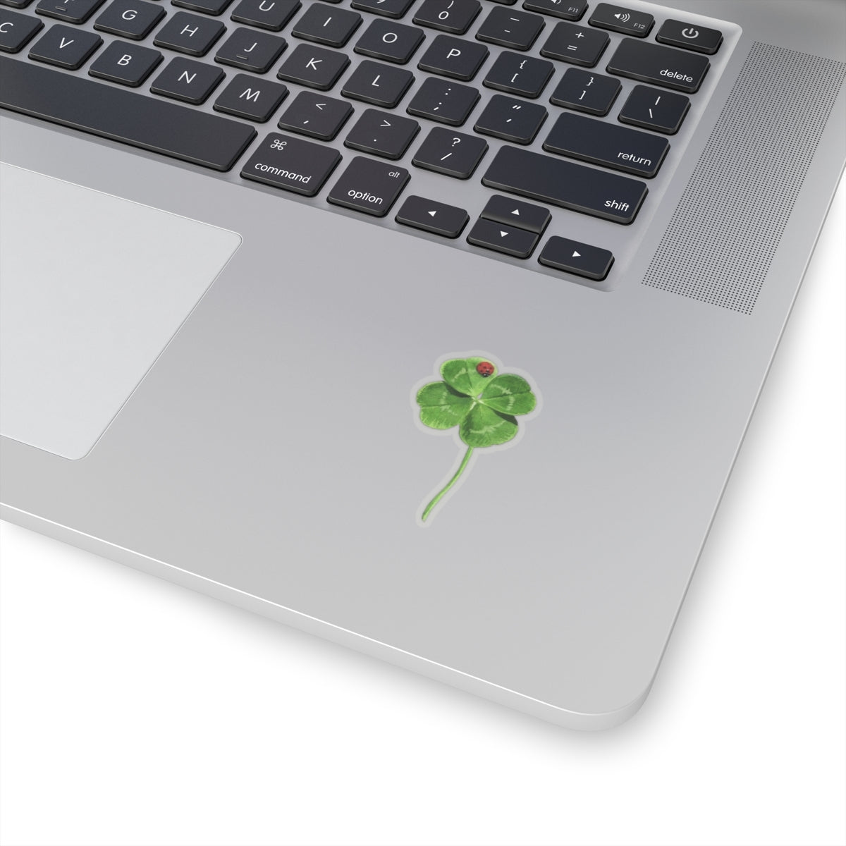 Lucky Clover Sticker, Good Luck Fortune Ladybug Decal, St Patrick Day Gift, Irish Theme, Holiday Decoration, Laptop Water Bottle Kindle