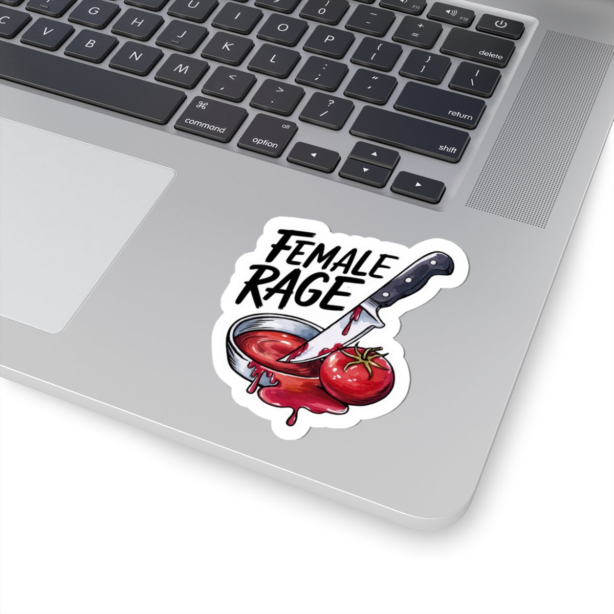 Feminist 'Female Rage' Vinyl Sticker, Bold Empowerment Decal for Laptops and Notebooks