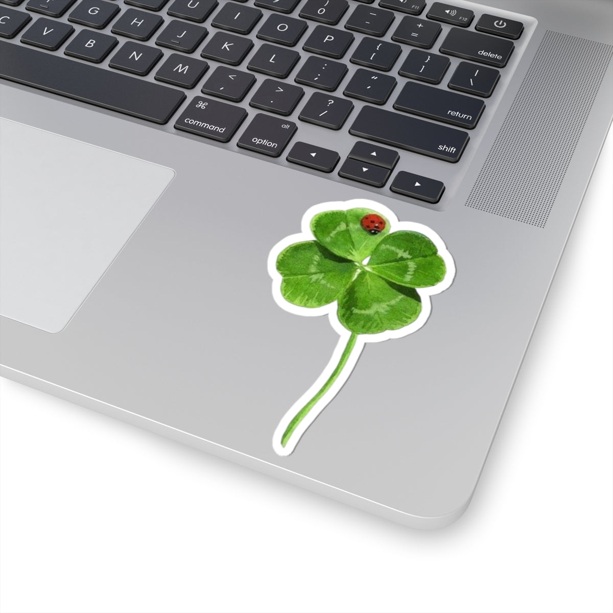Lucky Clover Sticker, Good Luck Fortune Ladybug Decal, St Patrick Day Gift, Irish Theme, Holiday Decoration, Laptop Water Bottle Kindle
