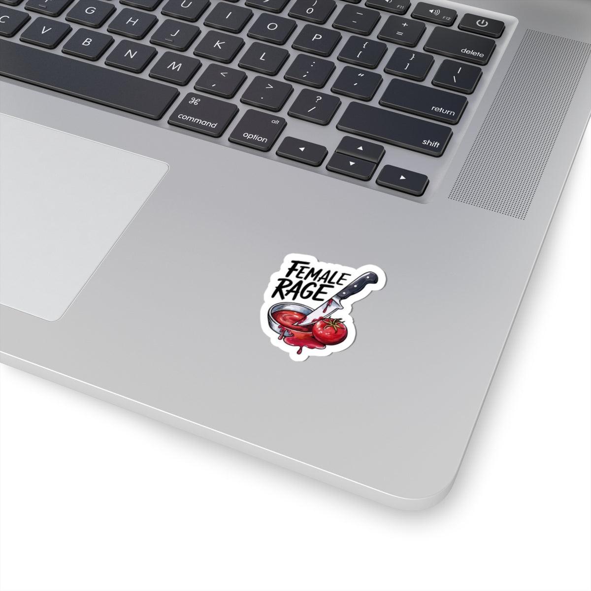 Feminist 'Female Rage' Vinyl Sticker, Bold Empowerment Decal for Laptops and Notebooks