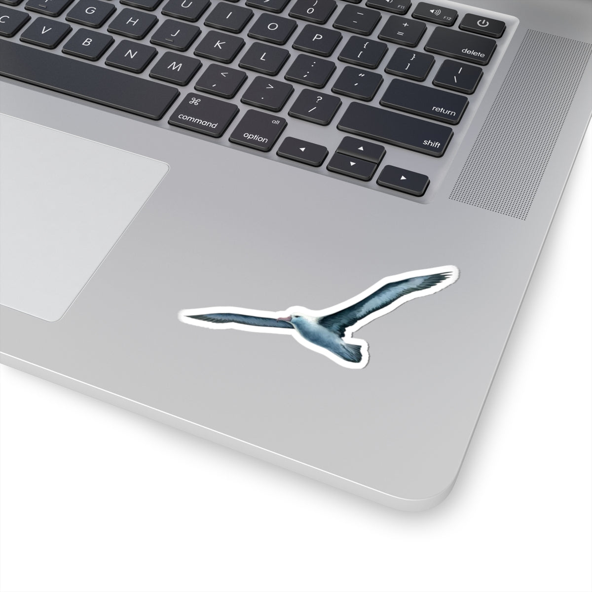 Blue Albatross Vinyl Decal, Watercolor Bird Sticker, Durable White Vinyl Art for Laptops, Cars, Windows, Removable and UV Resistant