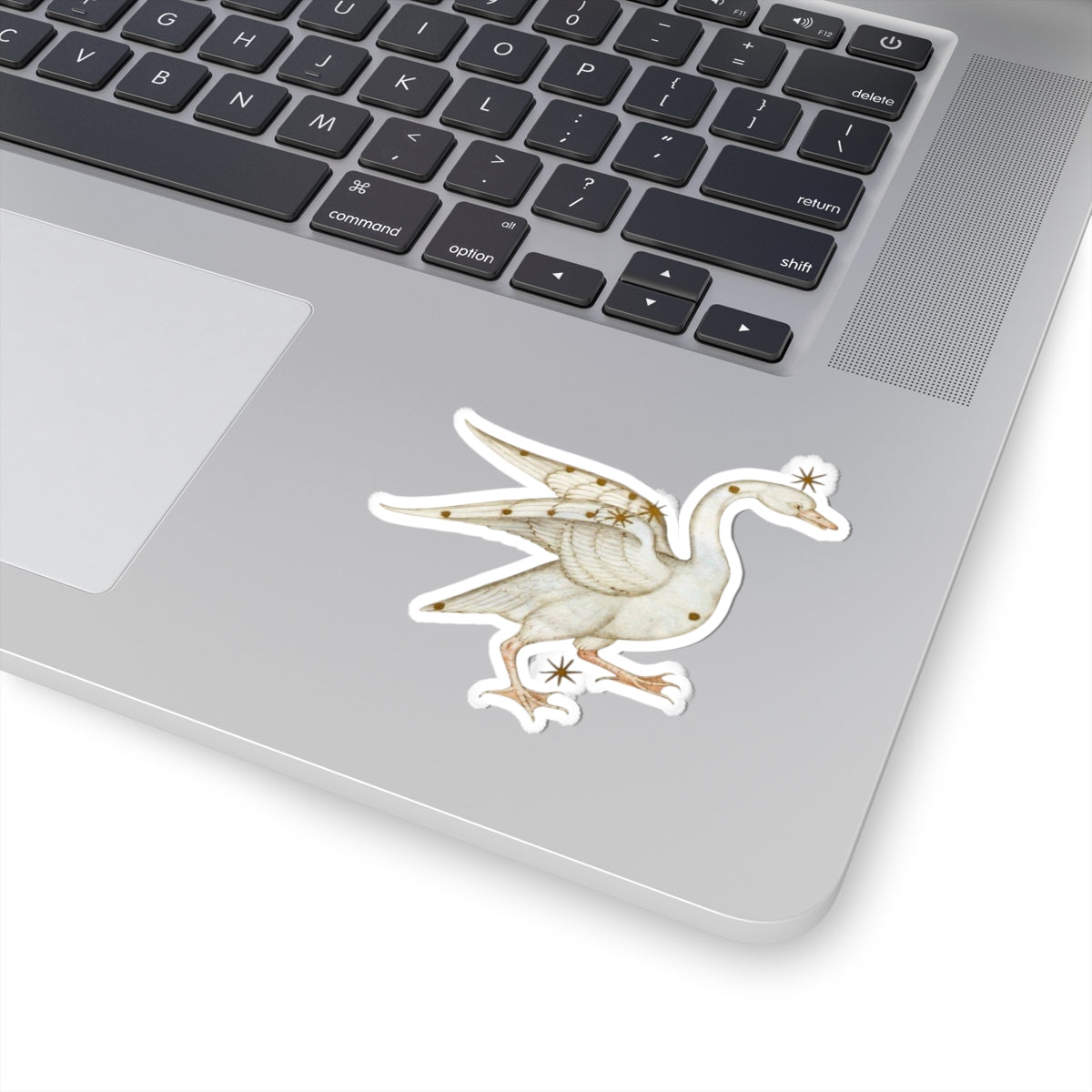 Medieval Art Swan Sticker, Mystical Magical Aesthetic, Cool Decal for Laptops, Water Bottles, Medieval Gift