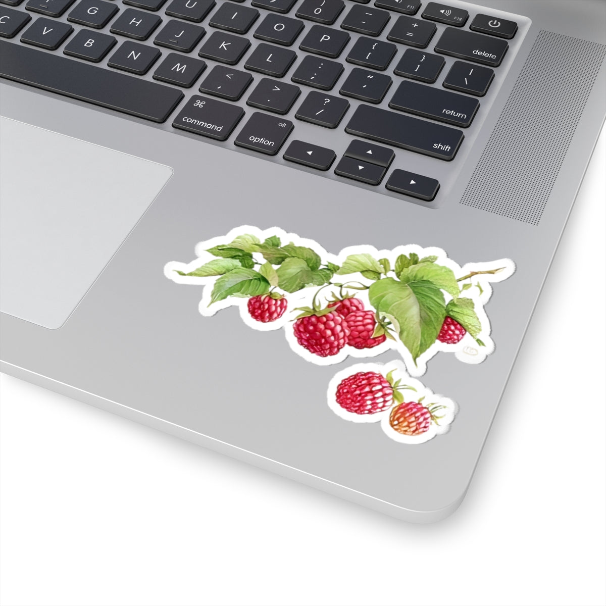 Natural Raspberry Kiss-Cut Sticker - Realistic Berry Design with Leaves, Perfect for Laptops, Journals, and Craft Projects