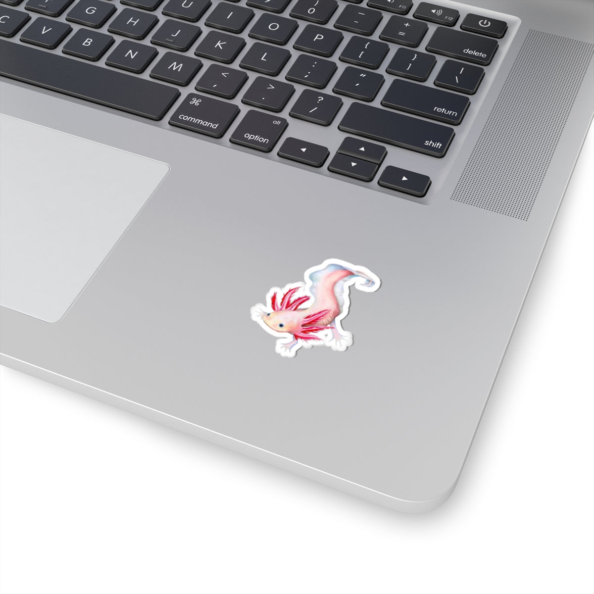 Axolotl Sticker, Laptop Decal, Water Bottle Sticker, Hand Drawn Design, Cute Beautiful Gift, Vinyl Sticker, Eco Friendly