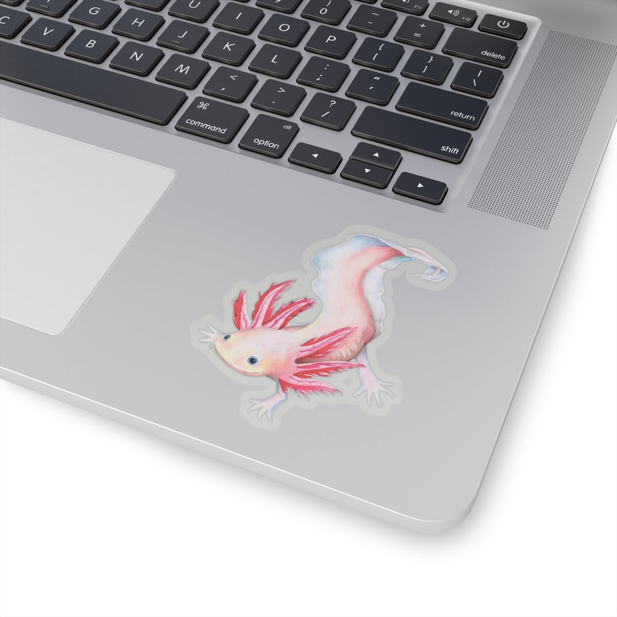 Axolotl Sticker, Laptop Decal, Water Bottle Sticker, Hand Drawn Design, Cute Beautiful Gift, Vinyl Sticker, Eco Friendly