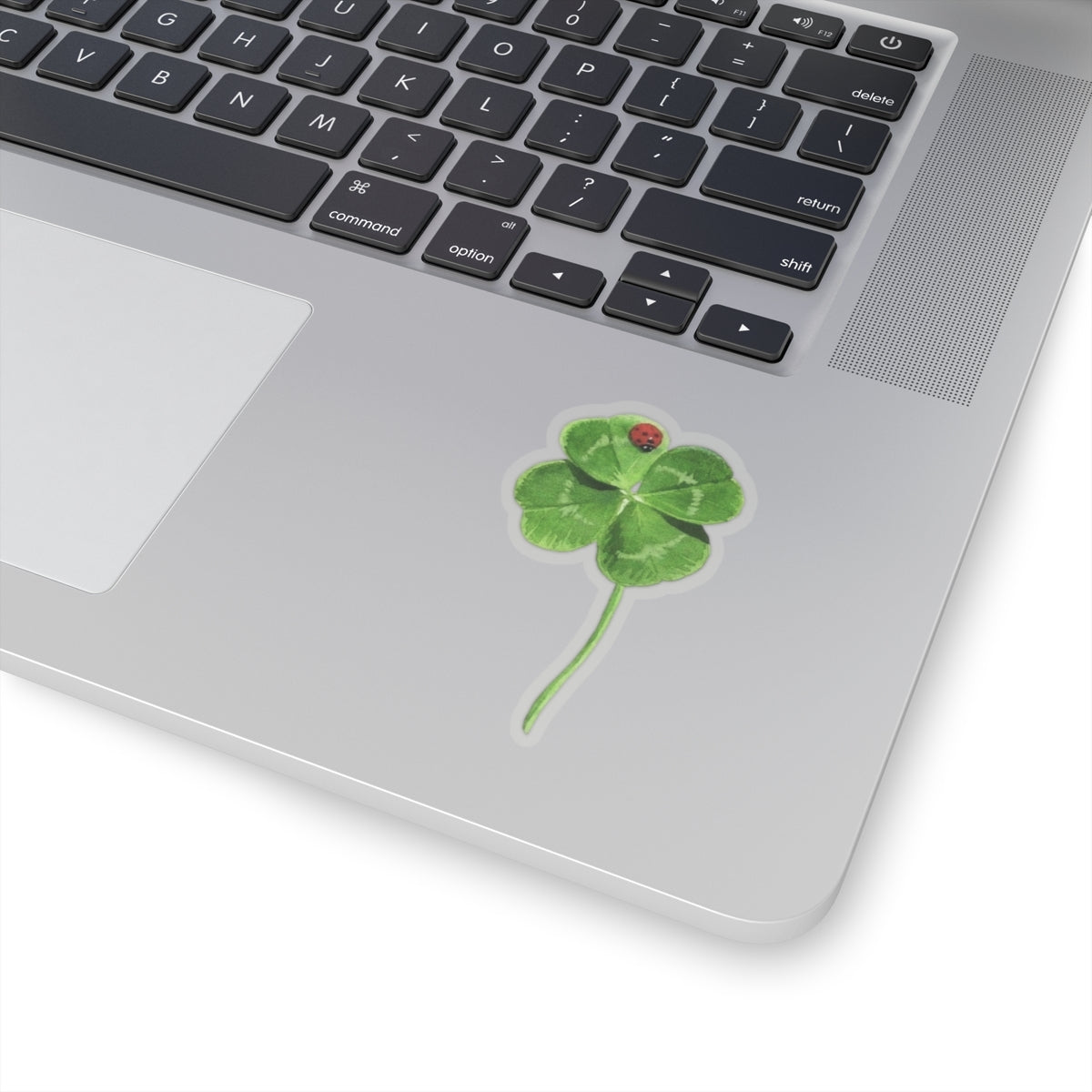 Lucky Clover Sticker, Good Luck Fortune Ladybug Decal, St Patrick Day Gift, Irish Theme, Holiday Decoration, Laptop Water Bottle Kindle
