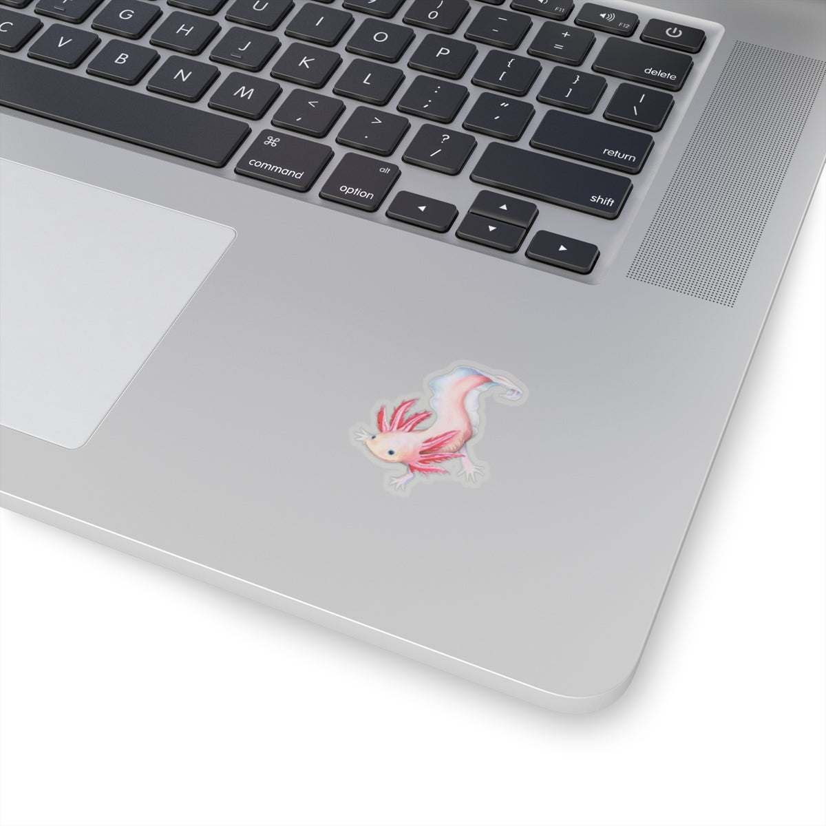 Axolotl Sticker, Laptop Decal, Water Bottle Sticker, Hand Drawn Design, Cute Beautiful Gift, Vinyl Sticker, Eco Friendly