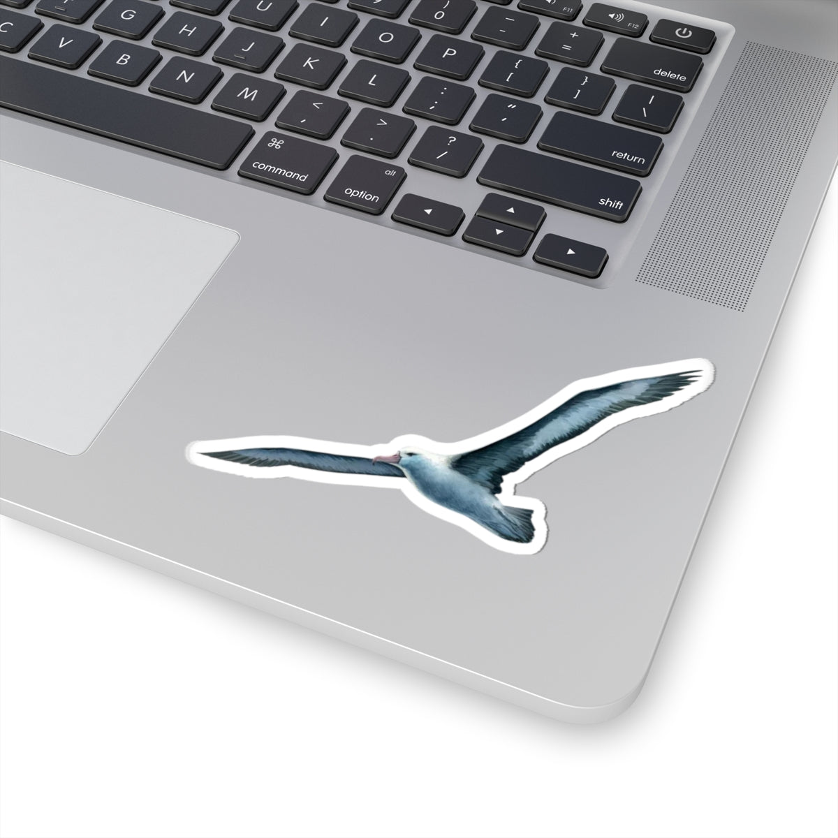 Blue Albatross Vinyl Decal, Watercolor Bird Sticker, Durable White Vinyl Art for Laptops, Cars, Windows, Removable and UV Resistant