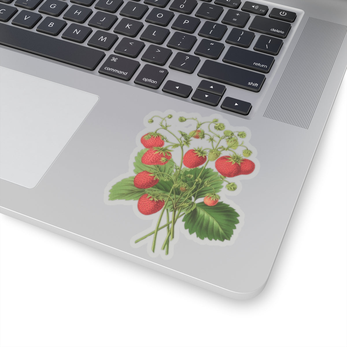 Strawberries Sticker with Leaves, Water Bottle Label, Summer Decal