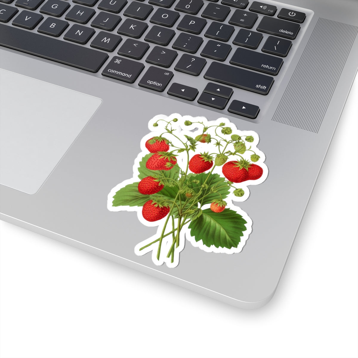 Strawberries Sticker with Leaves, Water Bottle Label, Summer Decal