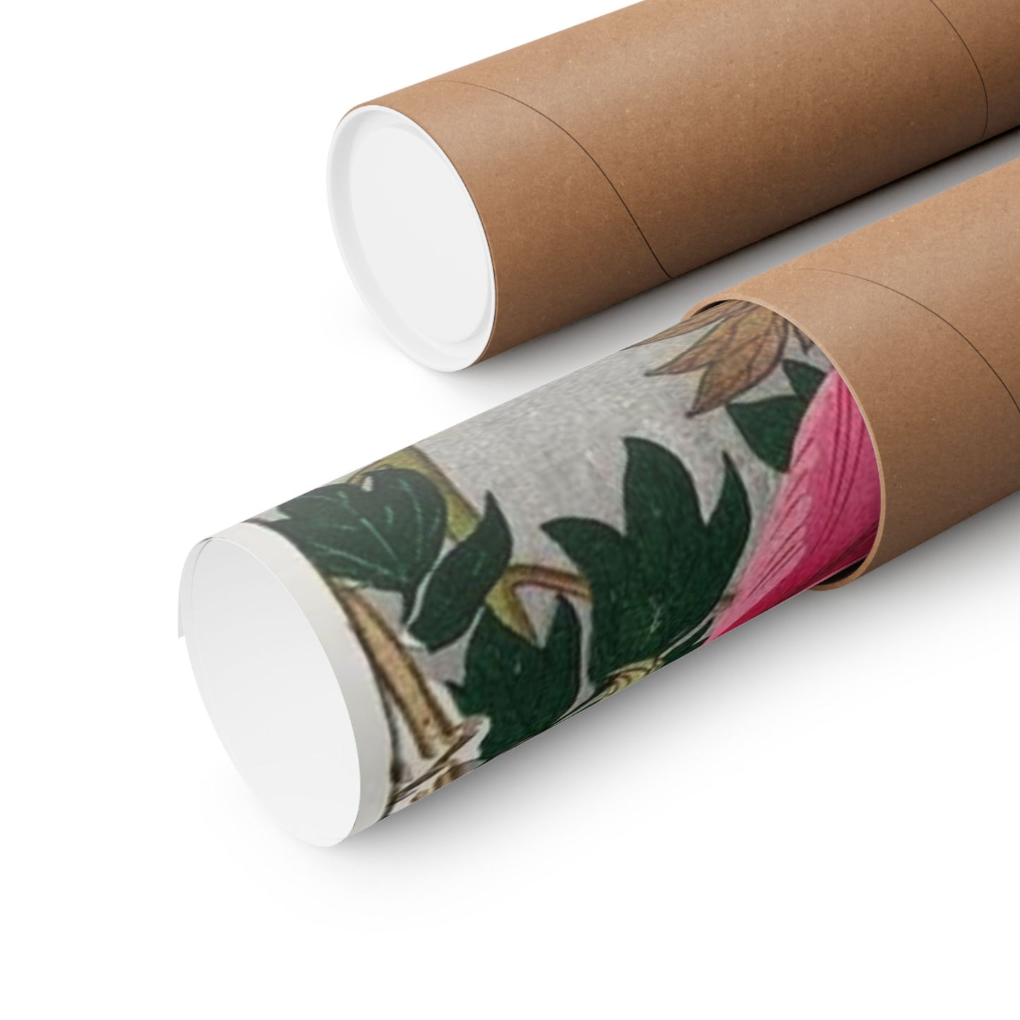 Japanese Art Print - Ohara Koson Siberian Bluechat and Peony Poster - Nature and Culture Wall Decor