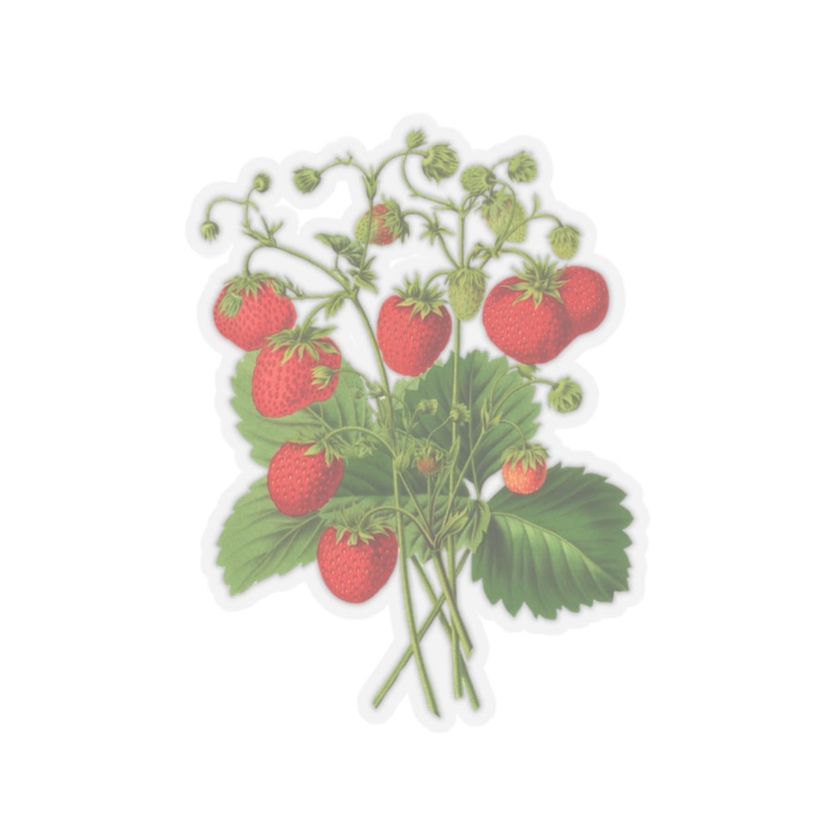Strawberries Sticker with Leaves, Water Bottle Label, Summer Decal