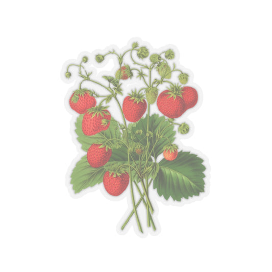 Strawberries Sticker with Leaves, Water Bottle Label, Summer Decal