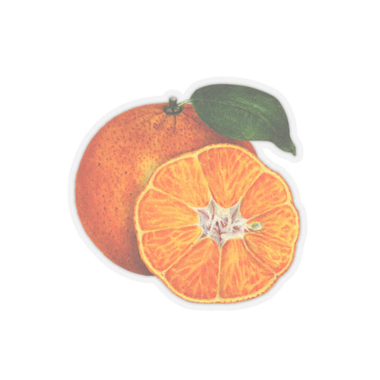 Orange Tangerine Sticker, Vintage Watercolor Drawing Decal, Fruit Art Decor