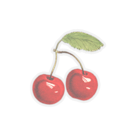 Red Cherries Sticker, Vintage Watercolor Drawing, Durable Fruit Art Decor Decal