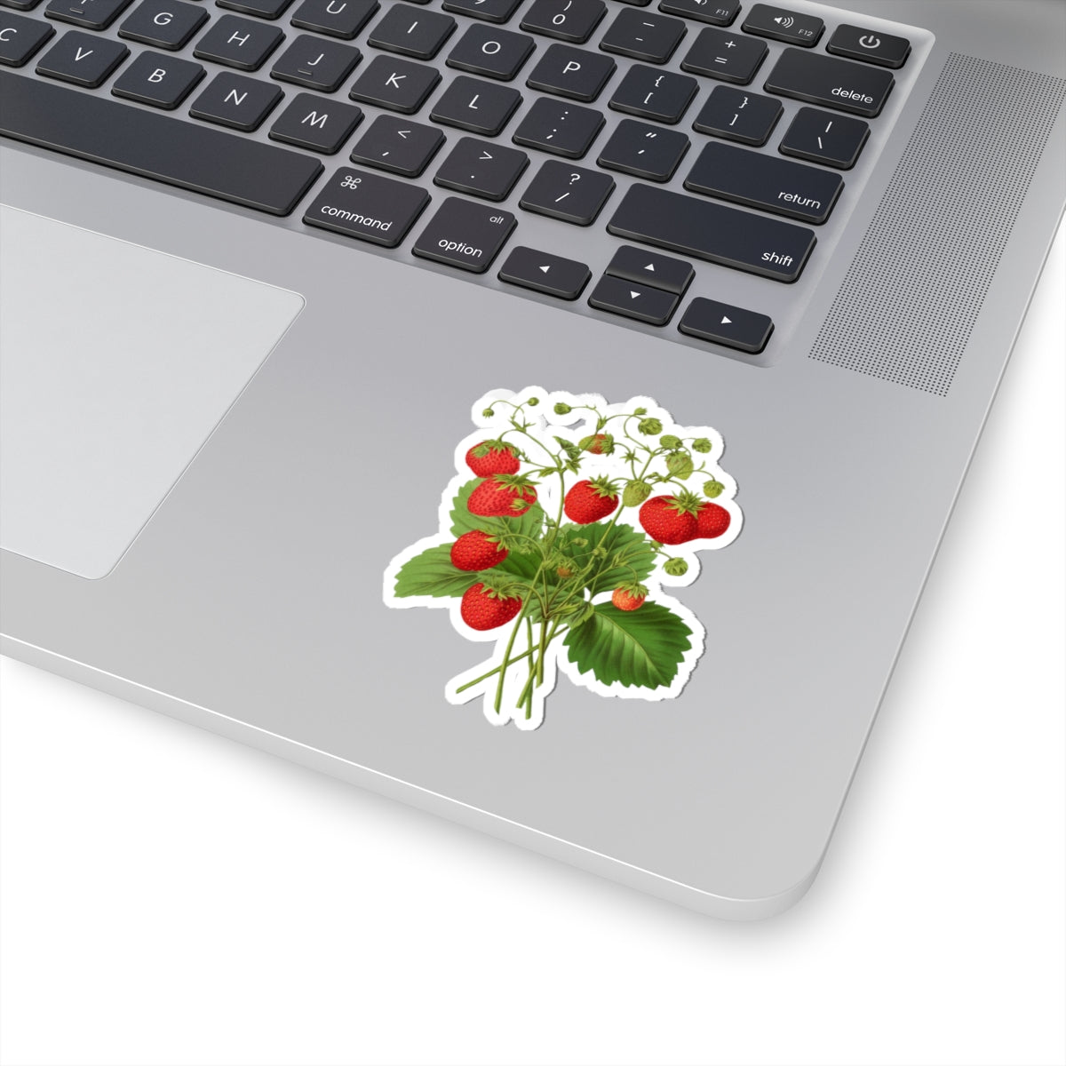 Strawberries Sticker with Leaves, Water Bottle Label, Summer Decal