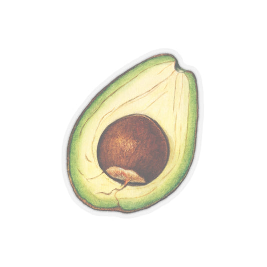 Avocado Sticker, Vintage Watercolor Decal, Fruit Art Drawing